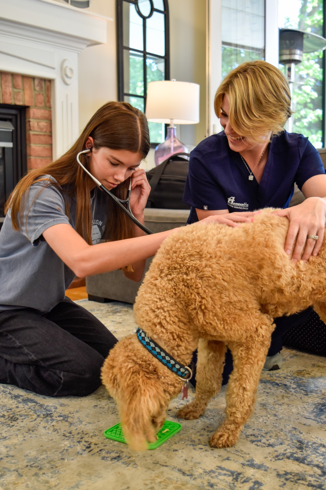 Mobile Vet Care for North Boston Families