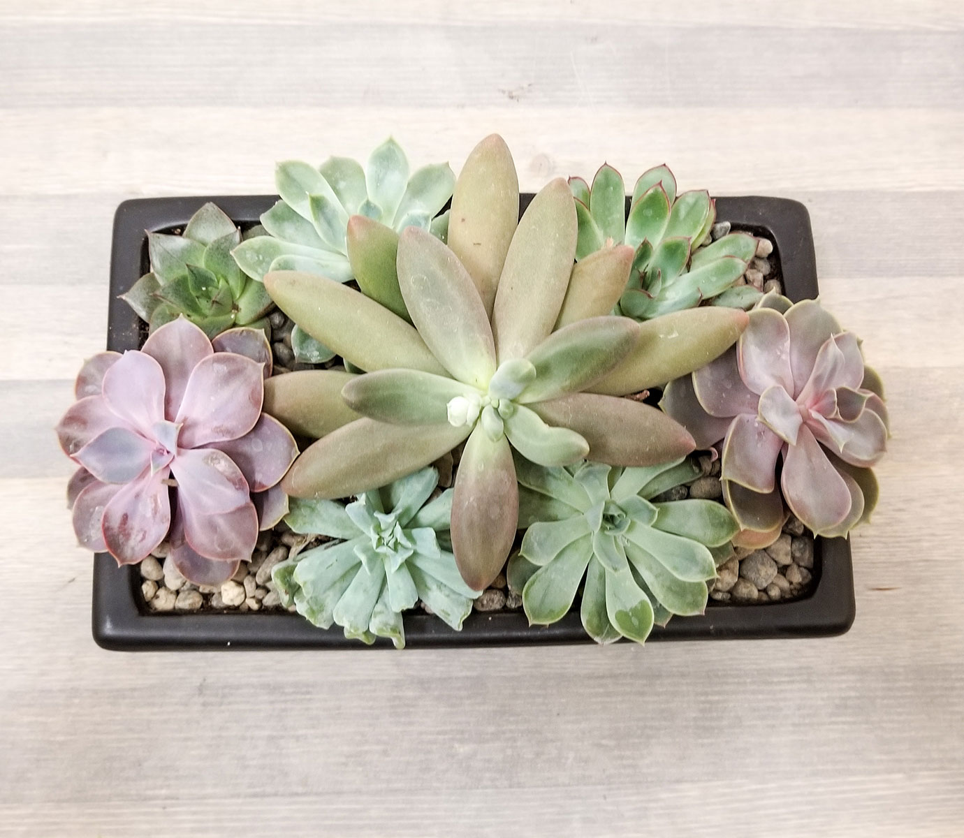 Williams Flower & Gift - Portland Florist Florist ad creative