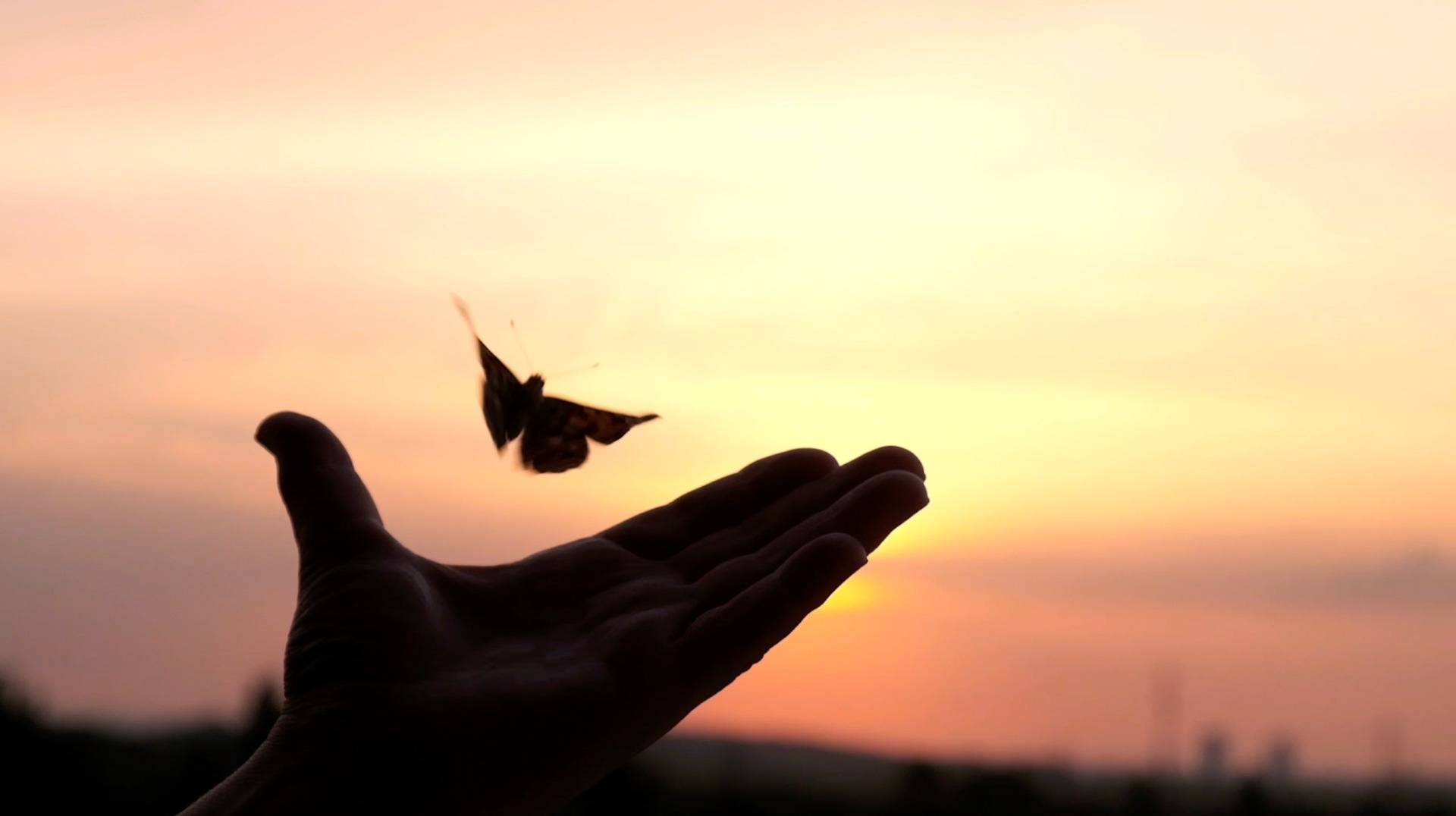 Regenerate Float Center Wellness Center ad creative