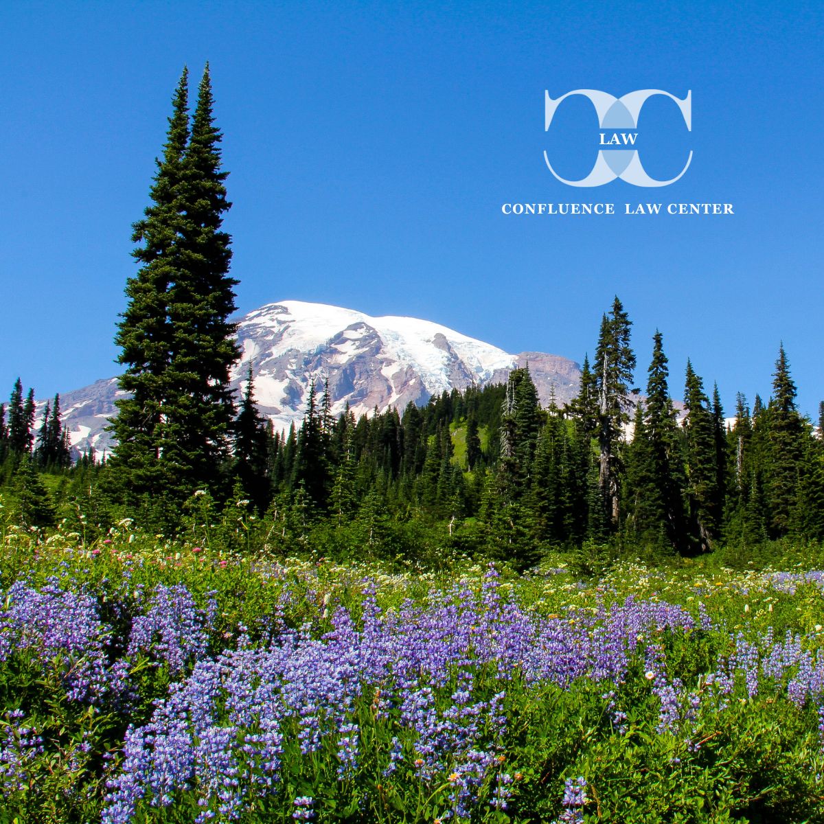 Confluence Law Center Estate Planning ad creative