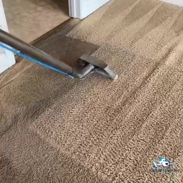 🔥Special $99 3 Rooms Carpet Cleaning!