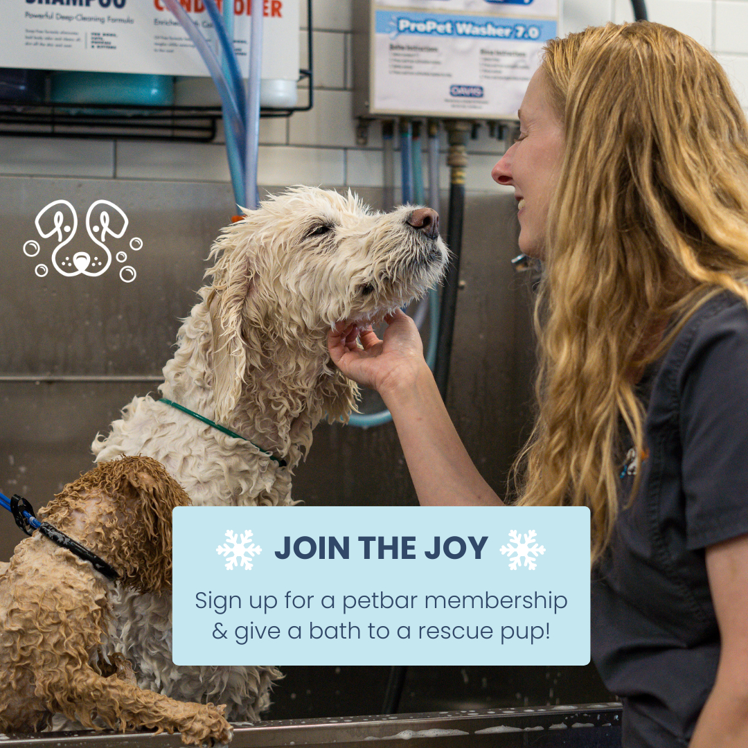 Petbarboutique_Trophy Club Pet Grooming ad creative