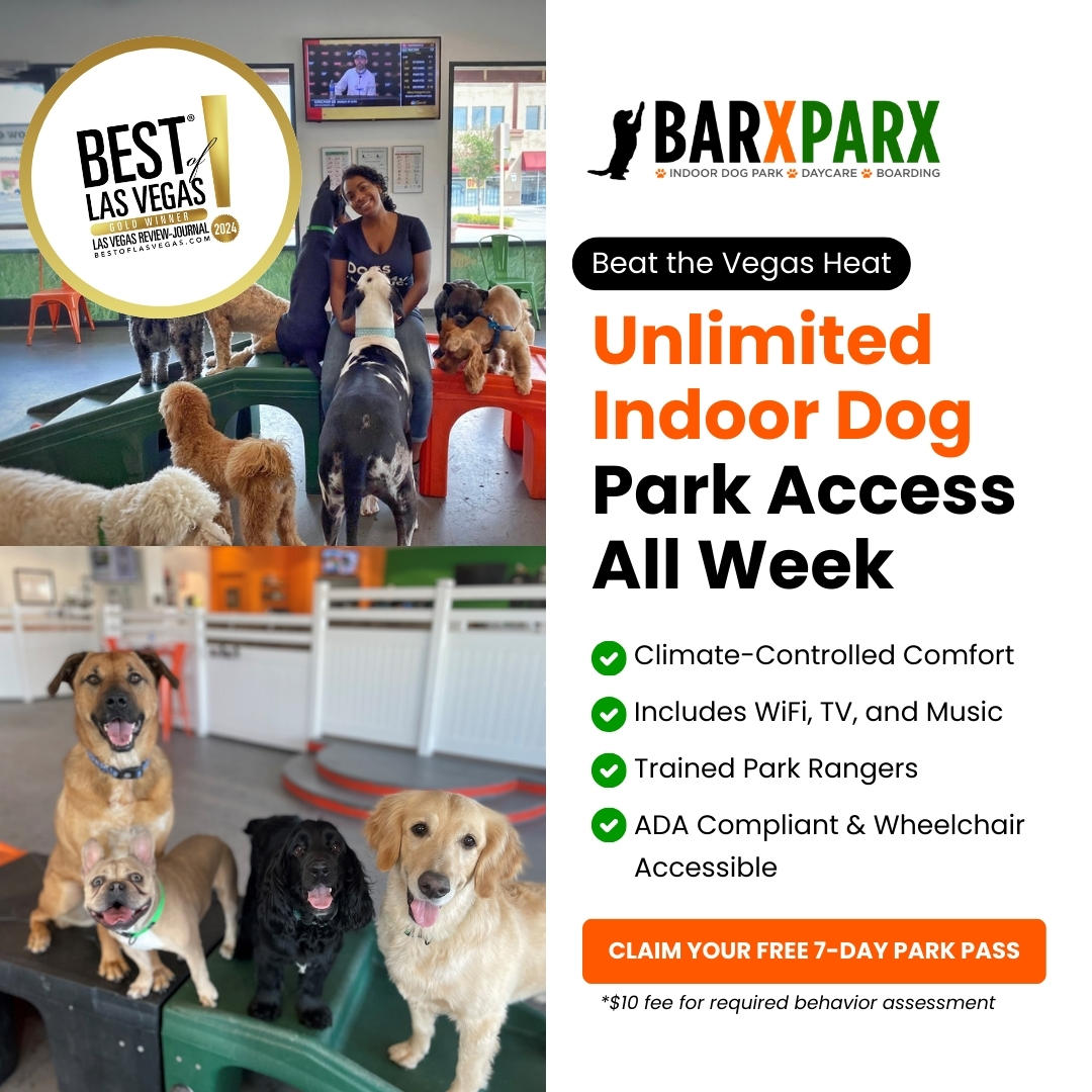 Indoor Dog Daycare in Vegas