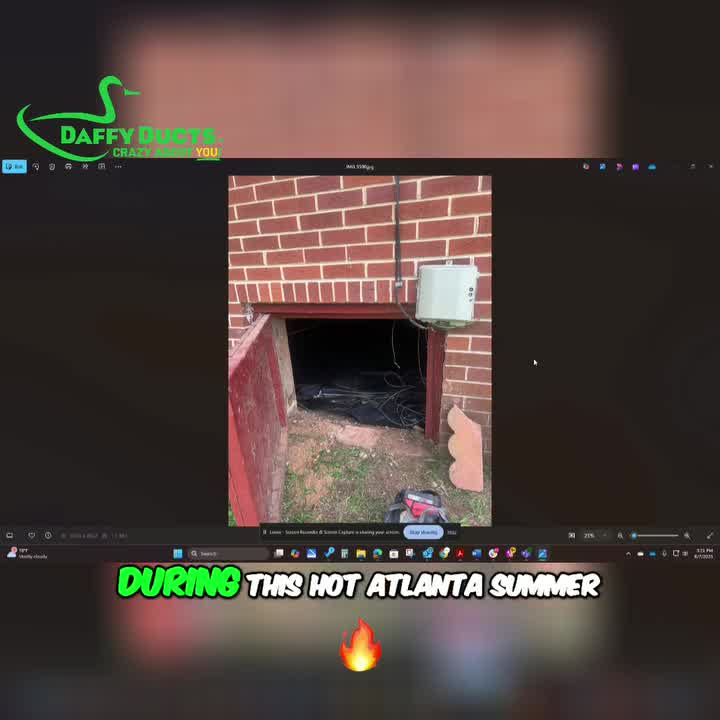 Daffy Ducts Air Duct and Dryer Vent Cleaning HVAC ad creative