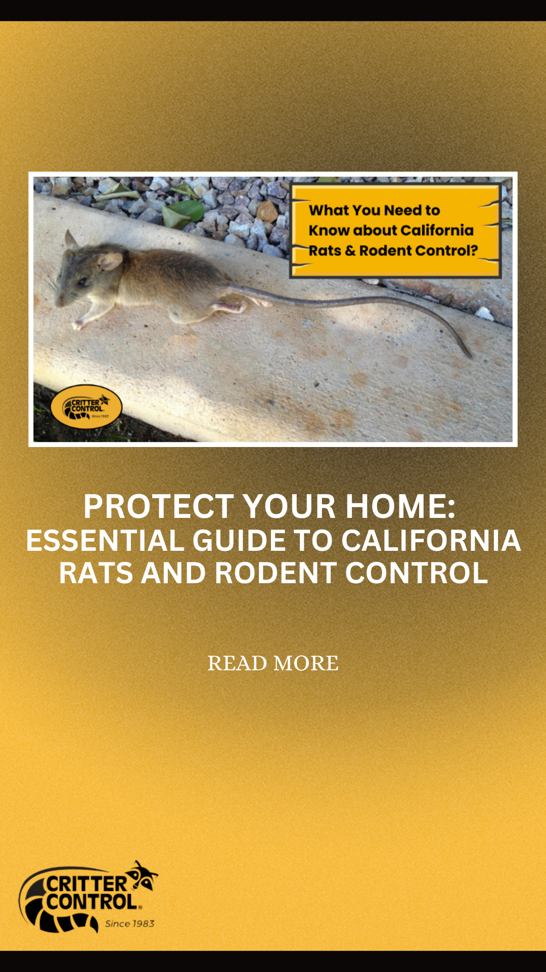 Critter Control of San Jose Pest Control ad creative