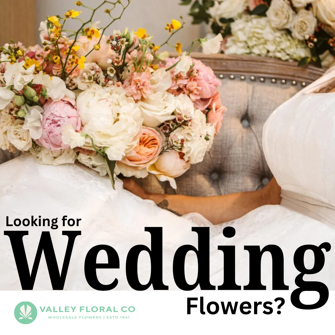Valley Floral, Oklahoma Florist ad creative