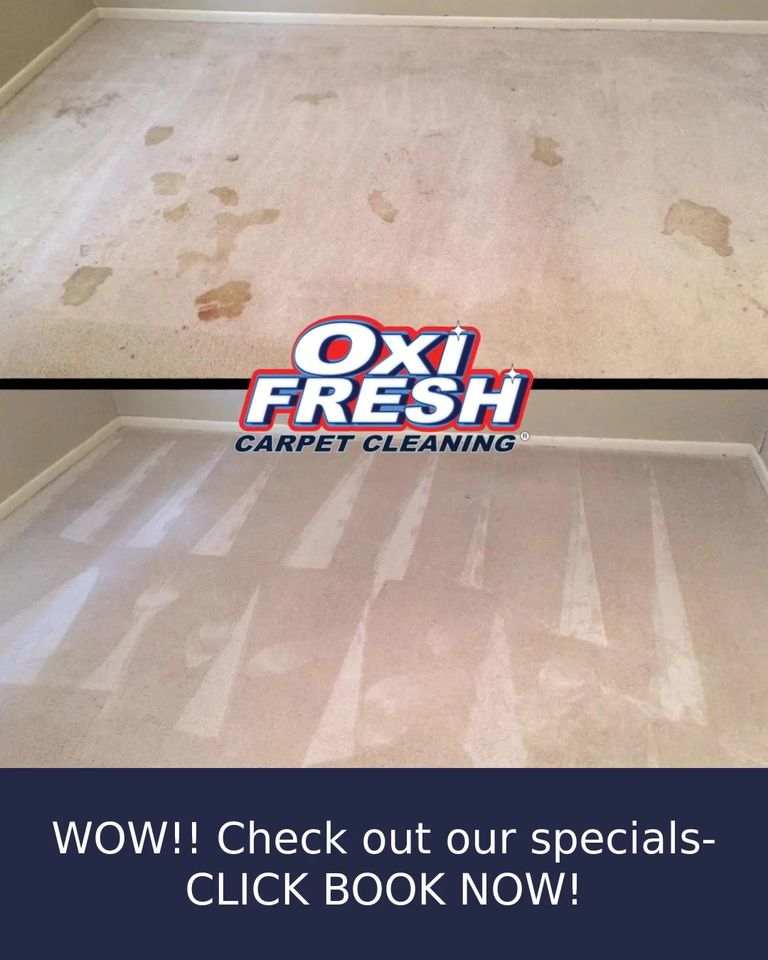 Oxi Fresh Carpet Cleaning