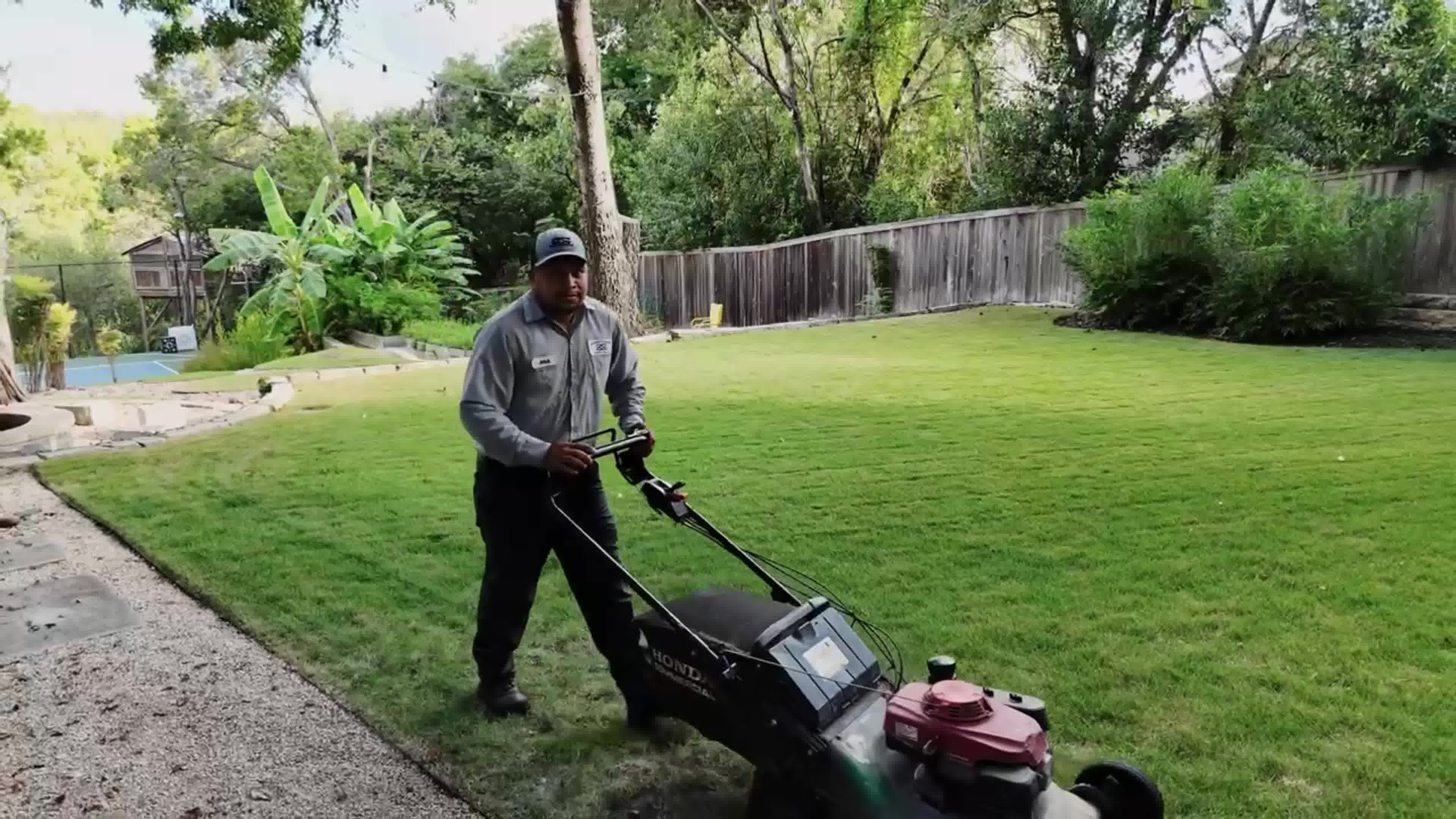 🌼 Stress-Free Lawn Care!