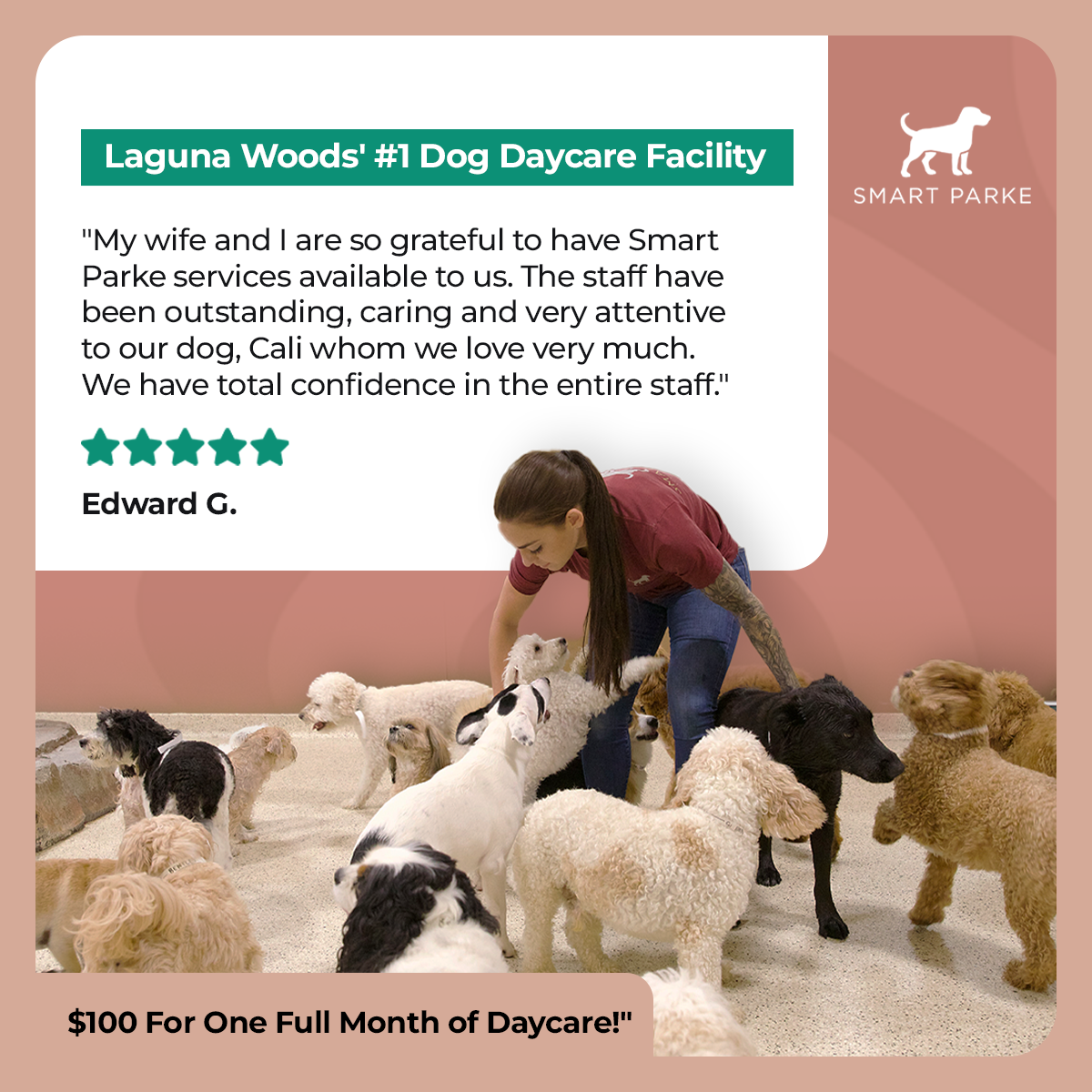 Premium Dog Daycare in Laguna Woods