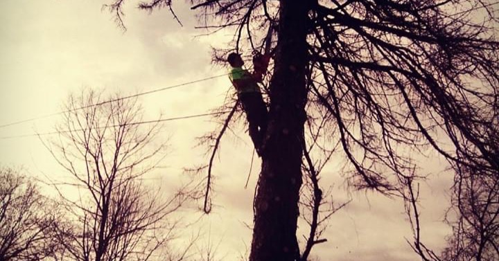 Anthony's Lawn Care And Landscaping