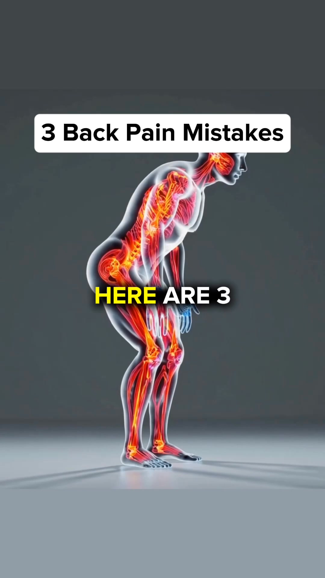 Money Back Guarantee