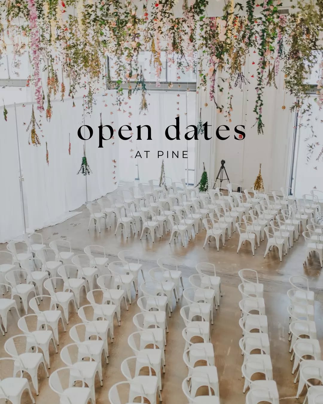 PINE Charlotte Event Venue ad creative