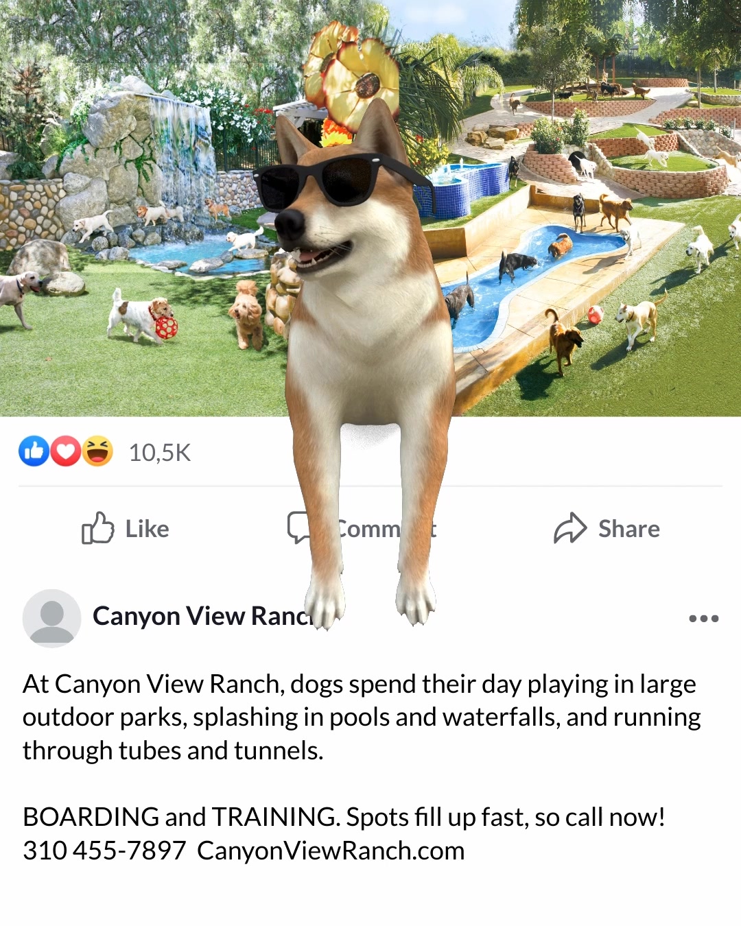 Playtime & Adventures!