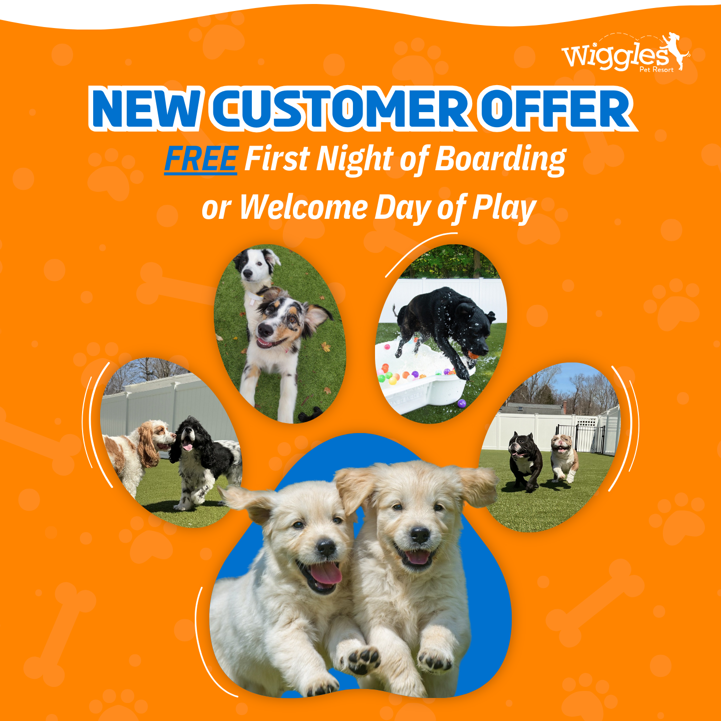 Wiggles Pet Resort on Madison Rd formerly Larkin's Run Pet Boarding ad creative