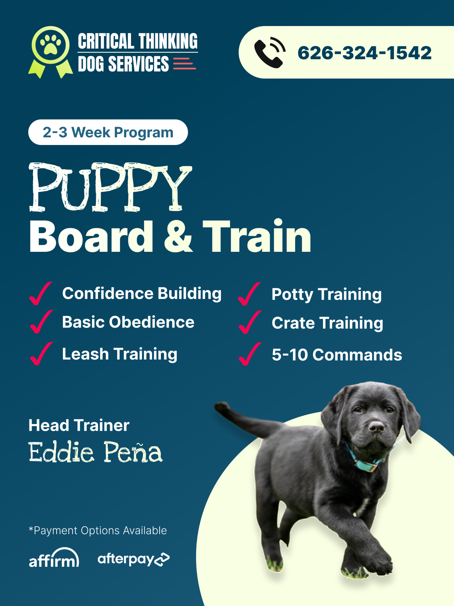 ✅ Puppy Training Made Easy – Enroll Today!