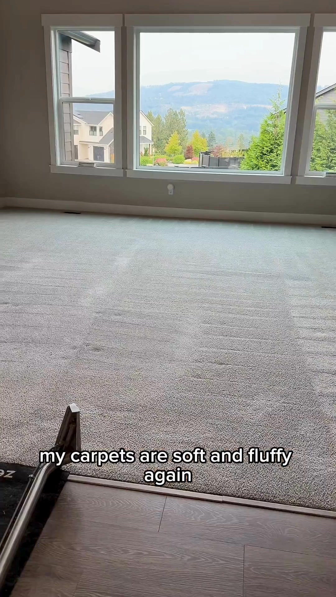 Zerorez of Nebraska Carpet Cleaning ad creative