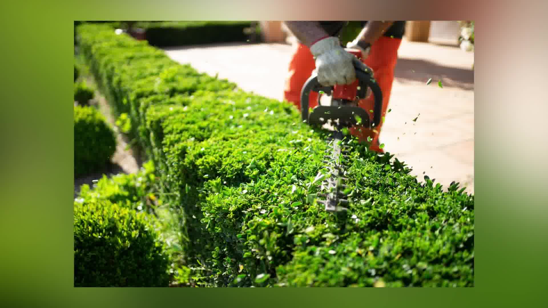 Proton Services and Landscape Supply Landscaping ad creative