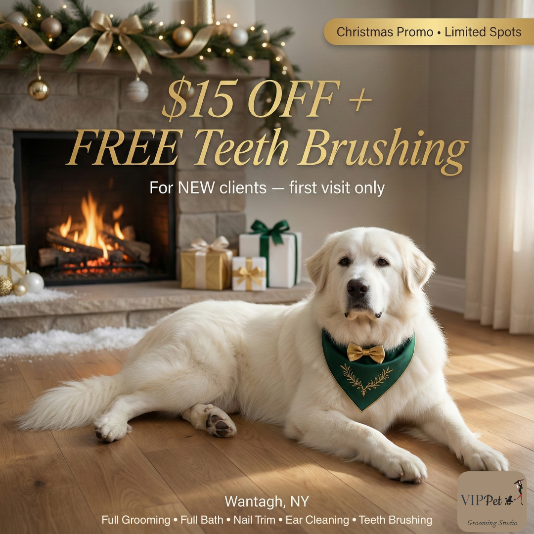 🐾 $15 Off Your First Groom - VIP Treatment Awaits!
