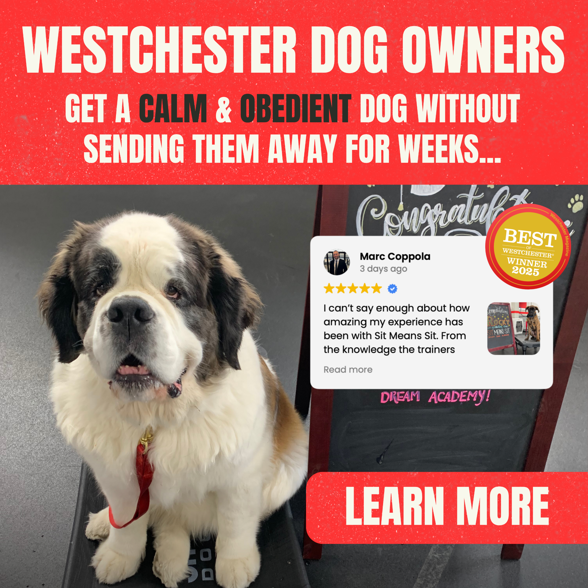 5 Weeks to a Calm, Obedient Dog 👉🏻