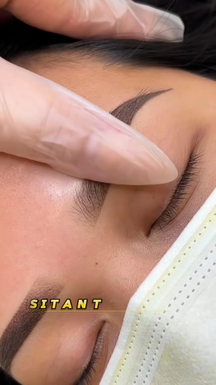 🎄 CHRISTMAS SPECIAL: $249 Premium Brows | Limited to First 10 Clients!