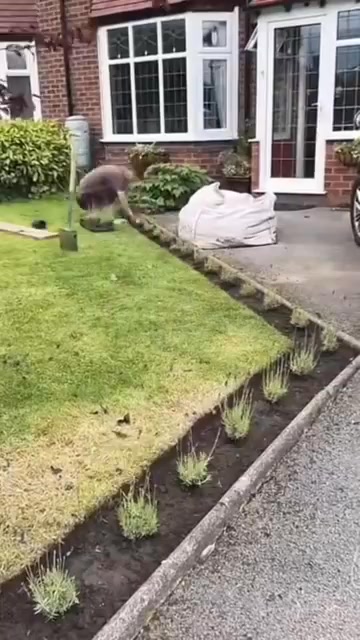 Book Your Free Landscape Consultation Today!