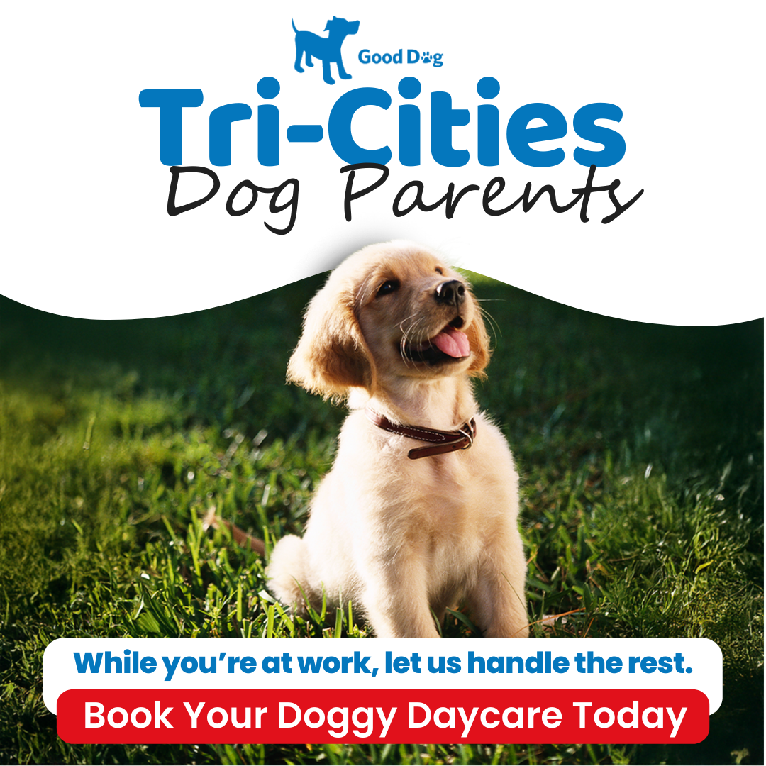 Trusted by Thousands of Tri-Cities Dog Parents