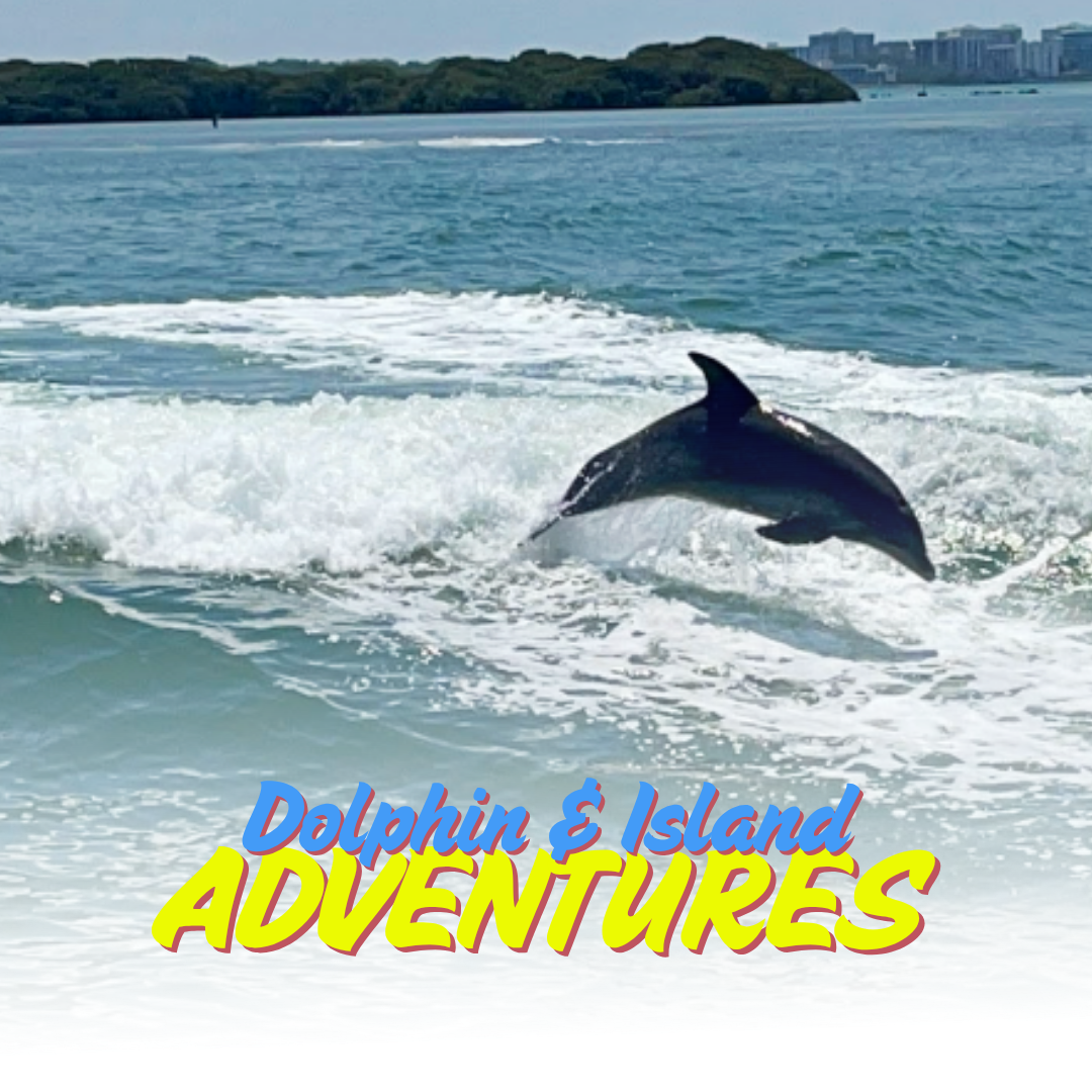 Fins Up Clearwater Limo Service ad creative