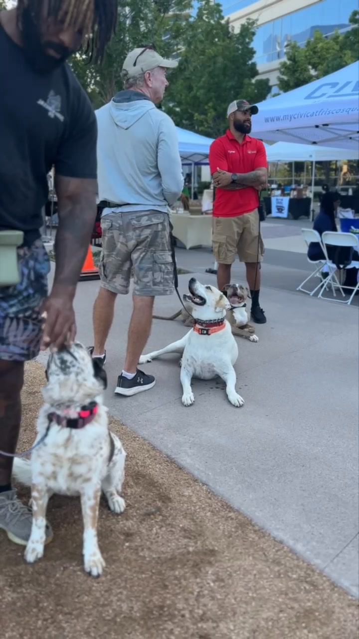 Train Your Dog in Just 5 Days - Free Consult Now!