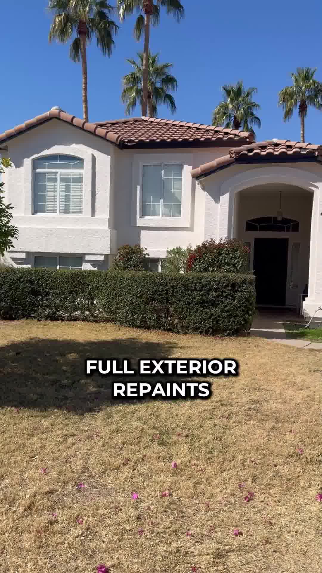 Savvy Painting Company Painter ad creative