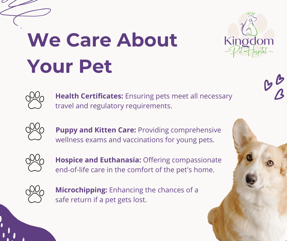 Book an Appointment: Hospital and House Calls