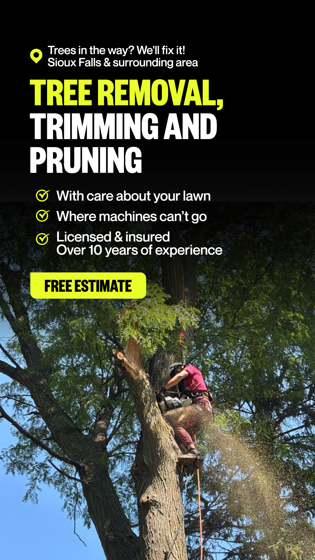 Tree removal, trimming & pruning