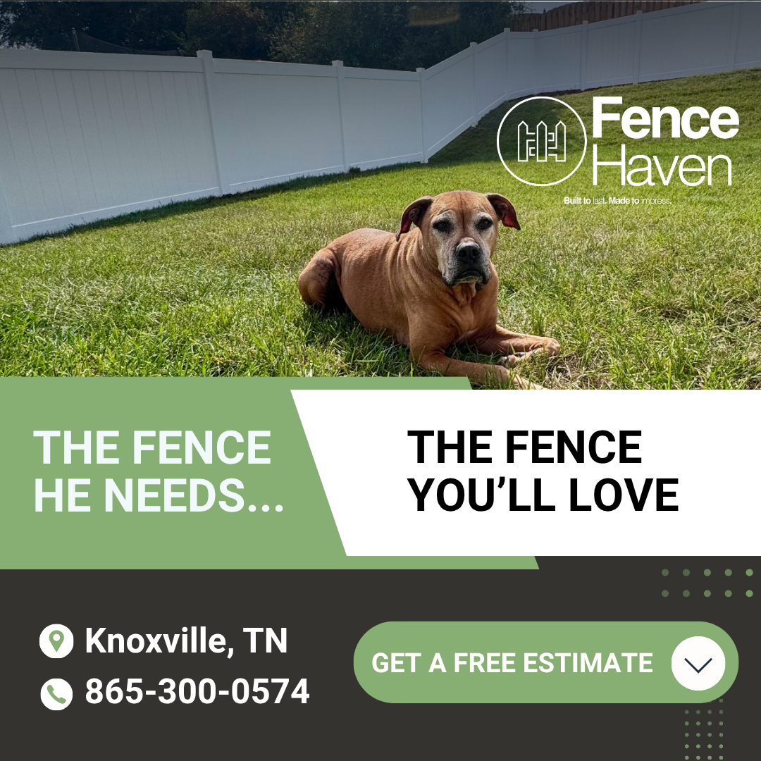 Get a Discounted Fence — Only 5 Spots Available!