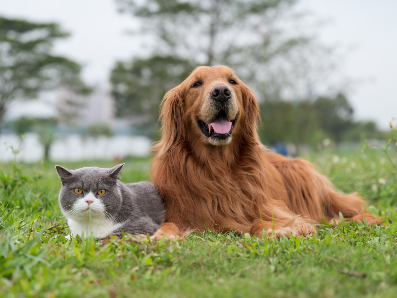 Barney And Russum Animal Clinic