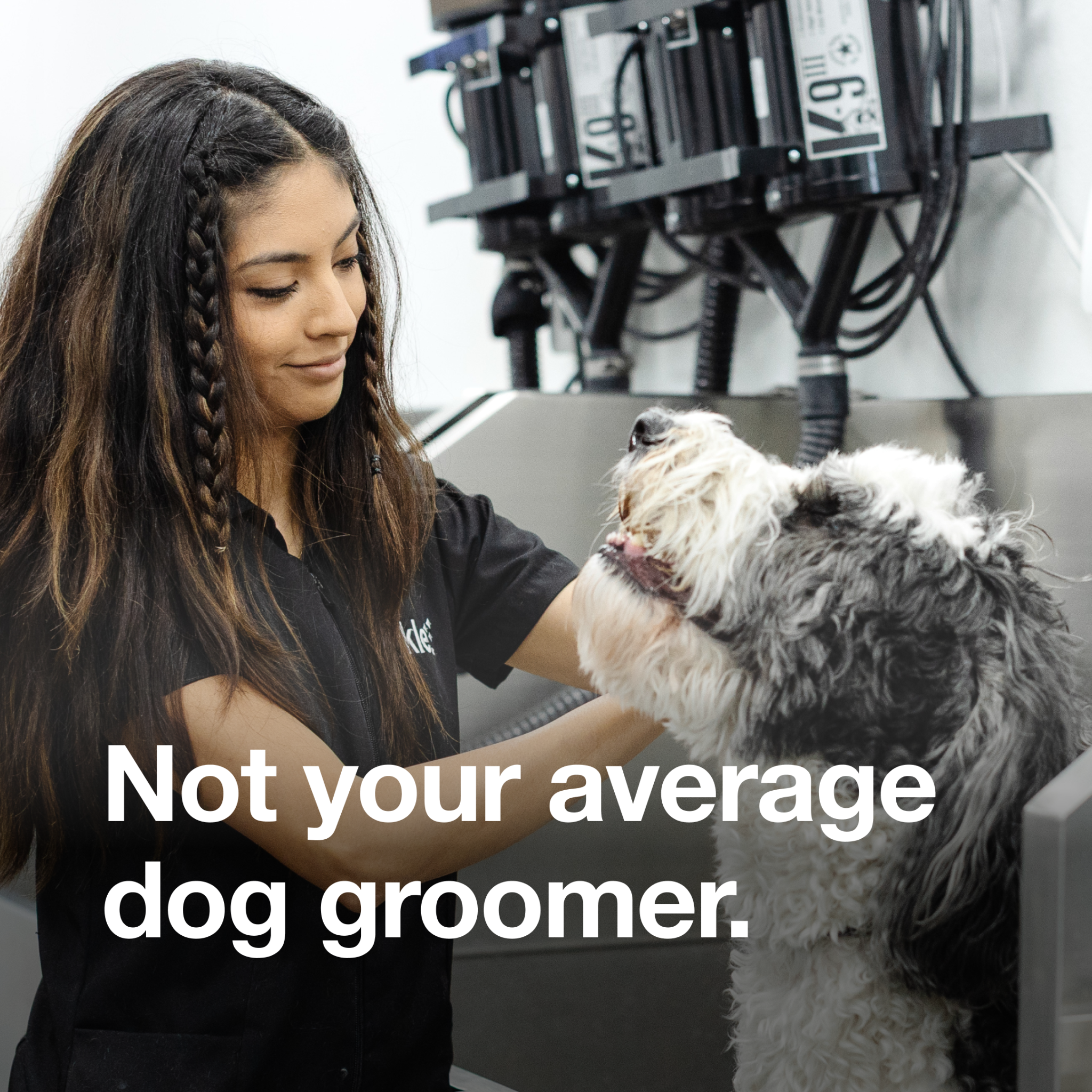 Sparkle Grooming Co.