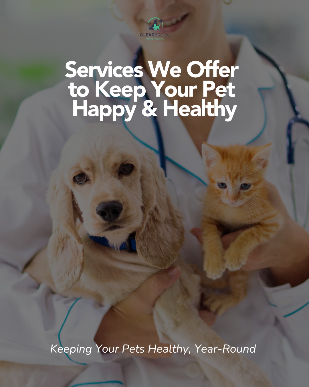 Clearbrook Animal Hospital