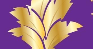 Maid Believable House Cleaning ad creative