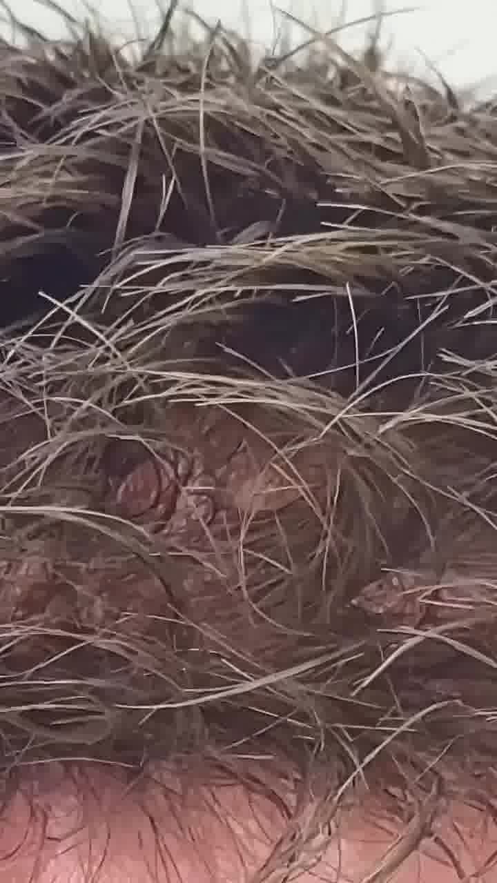 He Thought It Was Just a Haircut—Until It Changed His Life