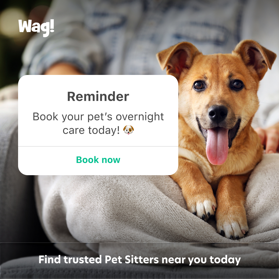 On-Demand Pet Care