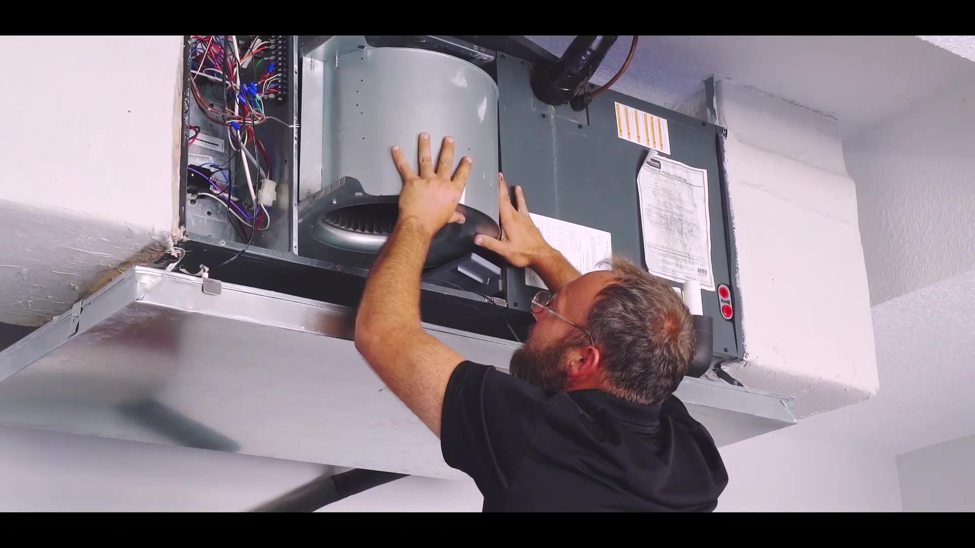 Polar Bear Cooling & Heating HVAC ad creative