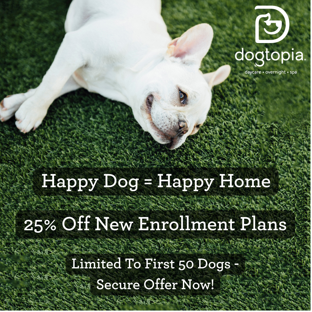 Dogtopia Columbus-Downtown Pet Boarding ad creative