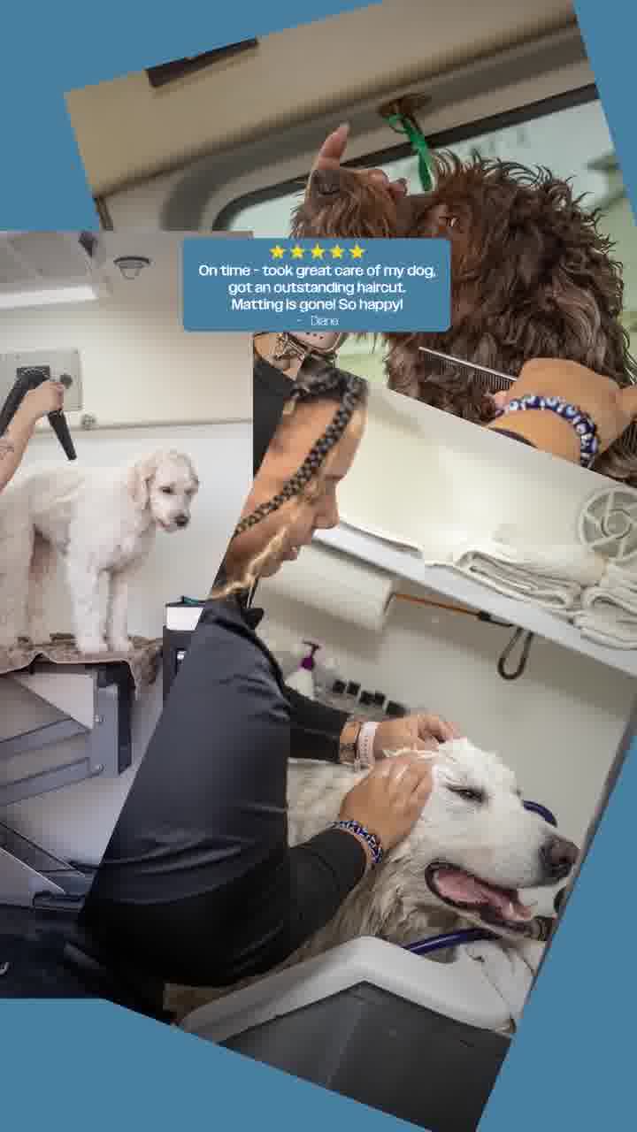 Don't Wait! Book Your Appointment Now!