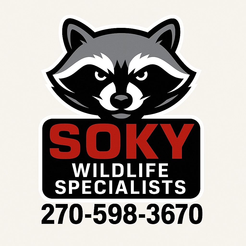 SOKY Wildlife Specialists