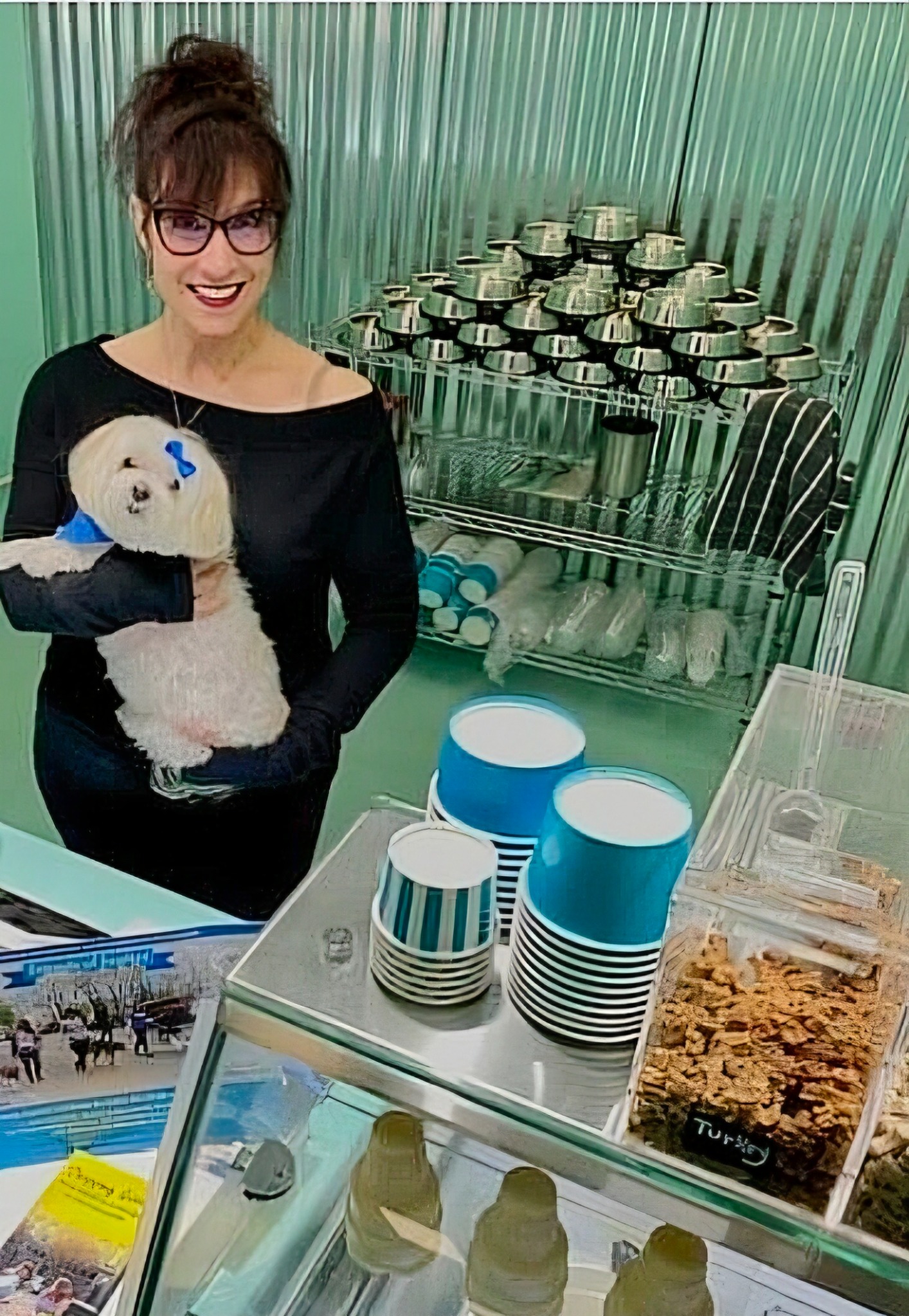 Your Dog's (Guilt-Free) Happy Place