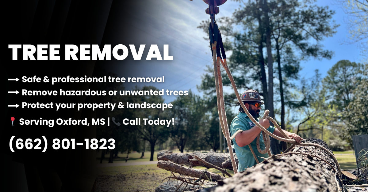 Warren Lawn & Tree Service LLC