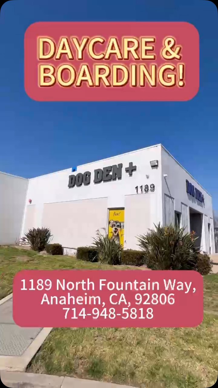 Dog Den Pet Boarding ad creative