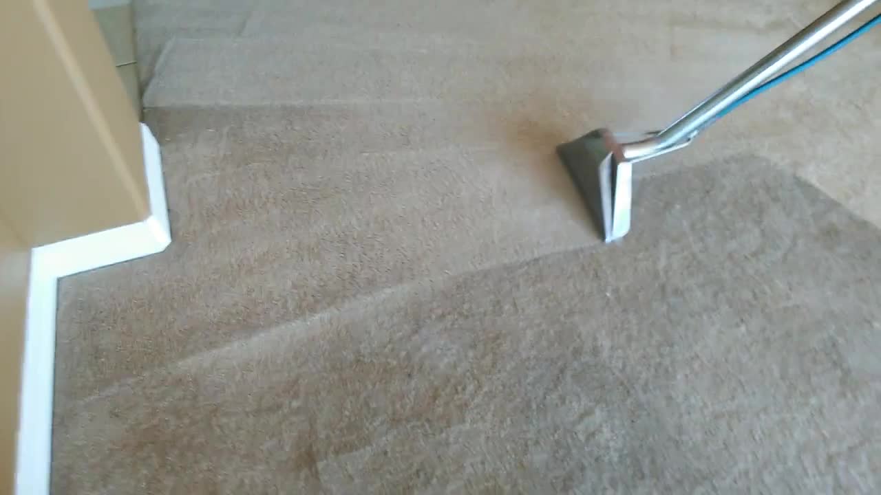 [SPECIAL OFFER] FREE Odor Treatment with Carpet Cleaning Services starting at $80