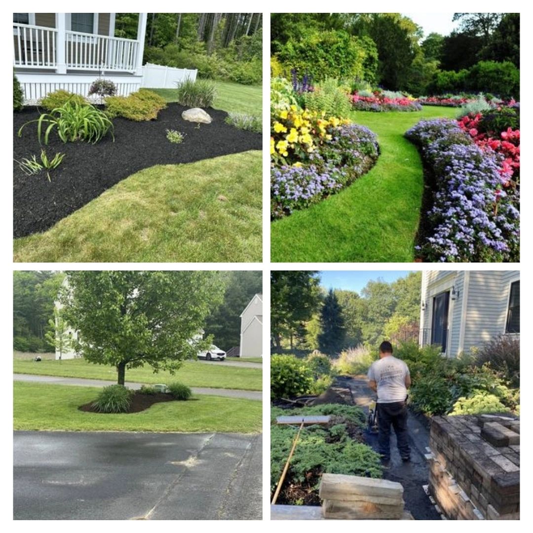 Your Neighborhood's Lawn Care Experts!