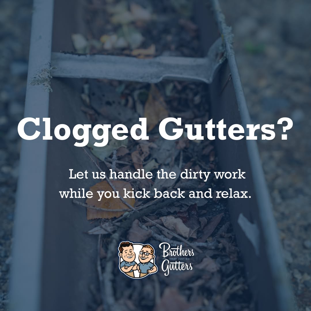 Get a Free Quote Today