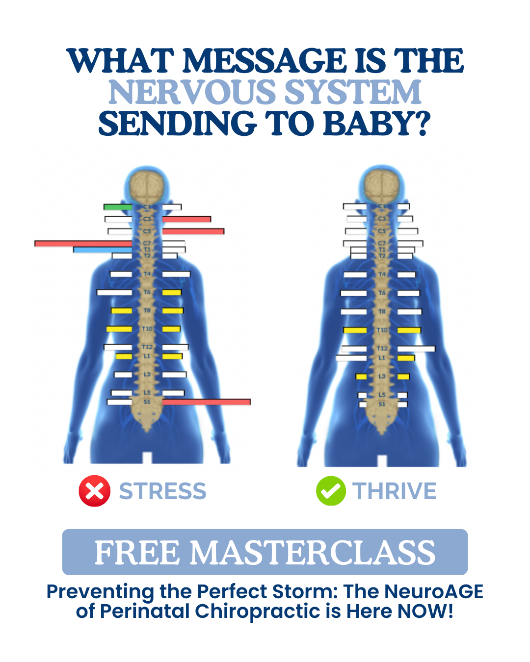 The Pediatric Experience Chiropractor ad creative