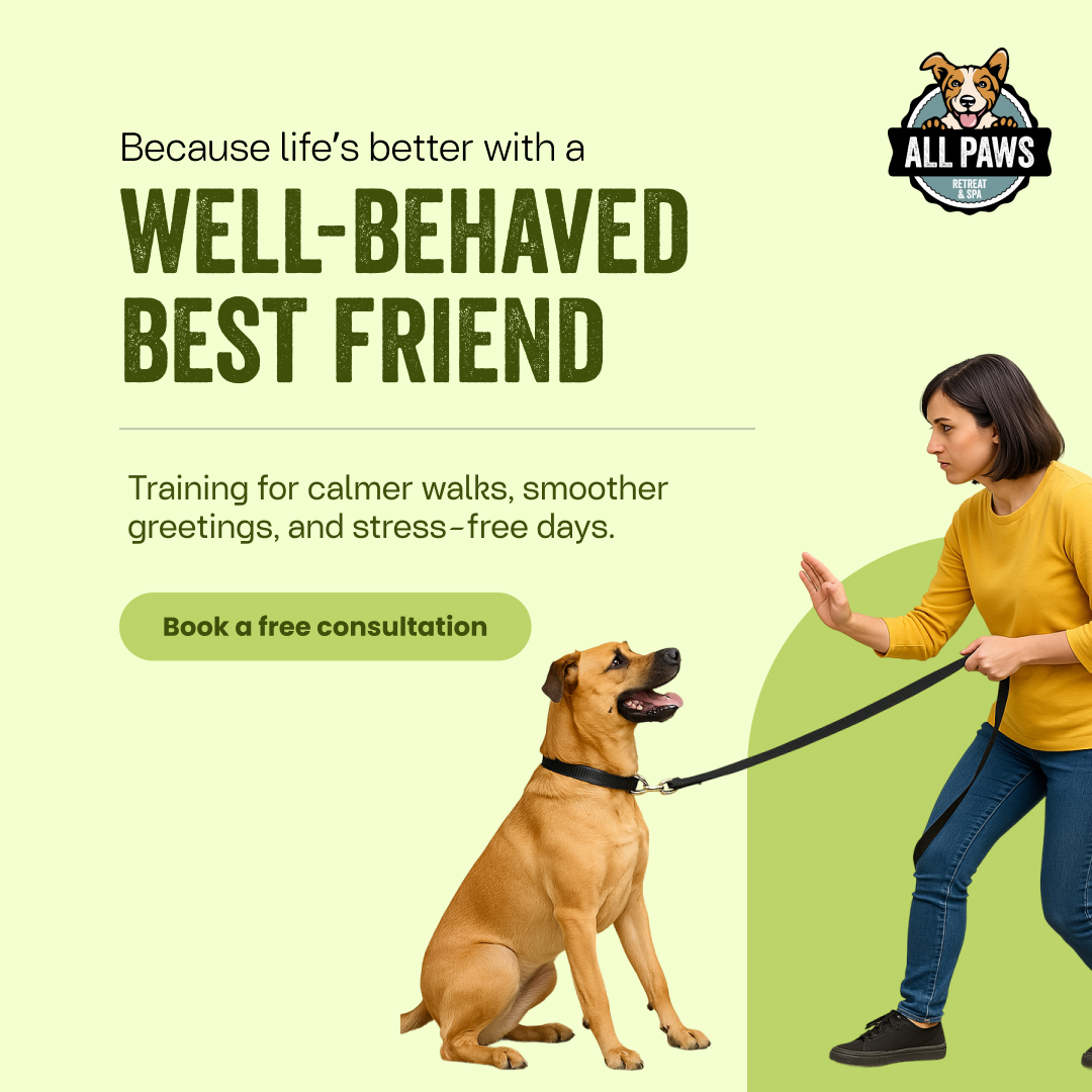 Book a Free Consultation